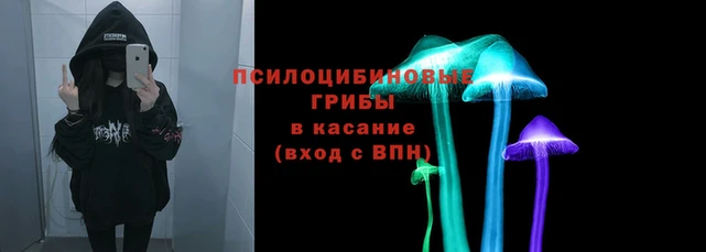spice Беломорск