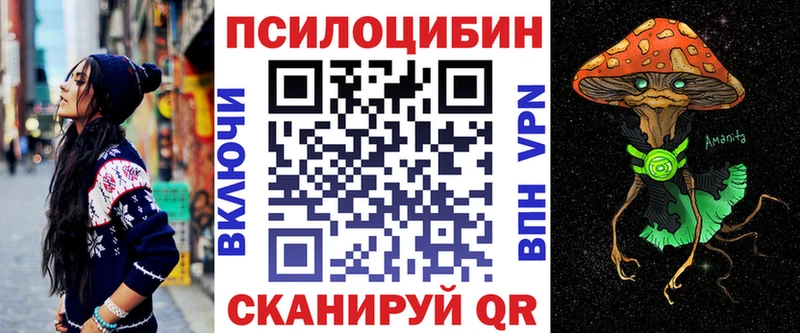 Псилоцибиновые грибы GOLDEN TEACHER  kraken как зайти  Сковородино 